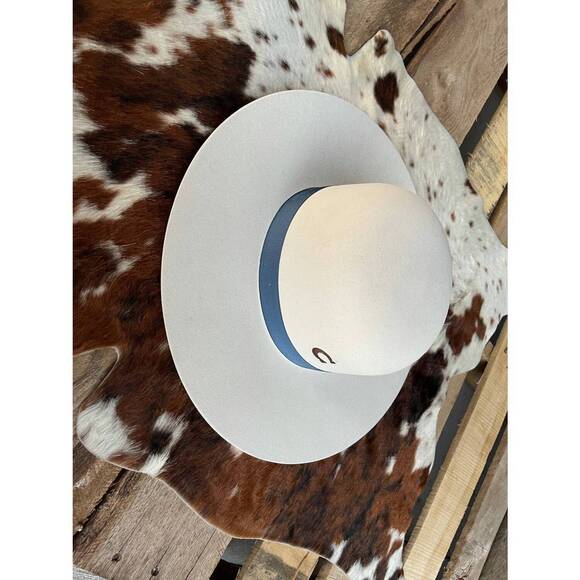 NEW CHARLIE 1 HORSE women\'s the josephine felt hat in white main image 4